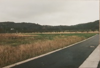 Vom Nelkenweg über Horngarten 1998