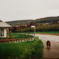 1999 Kreuzung Horngarten Nelkenweg 