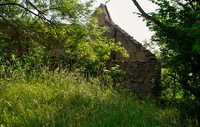 Perl: Hühnerhof