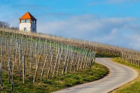Landschaft
